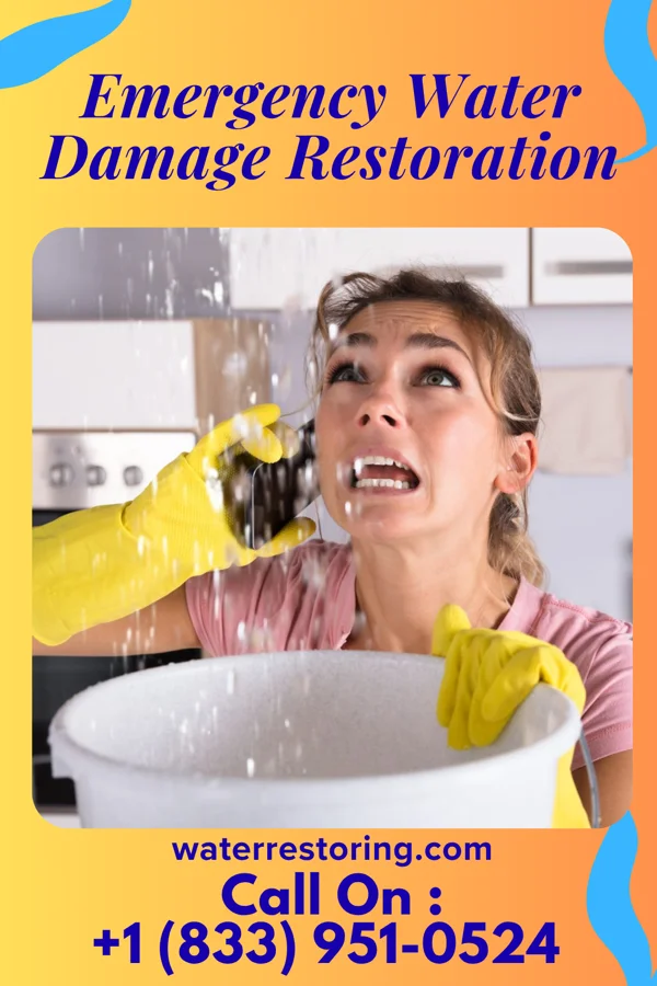 Emergency Water Damage Restoration in Boulder, UT