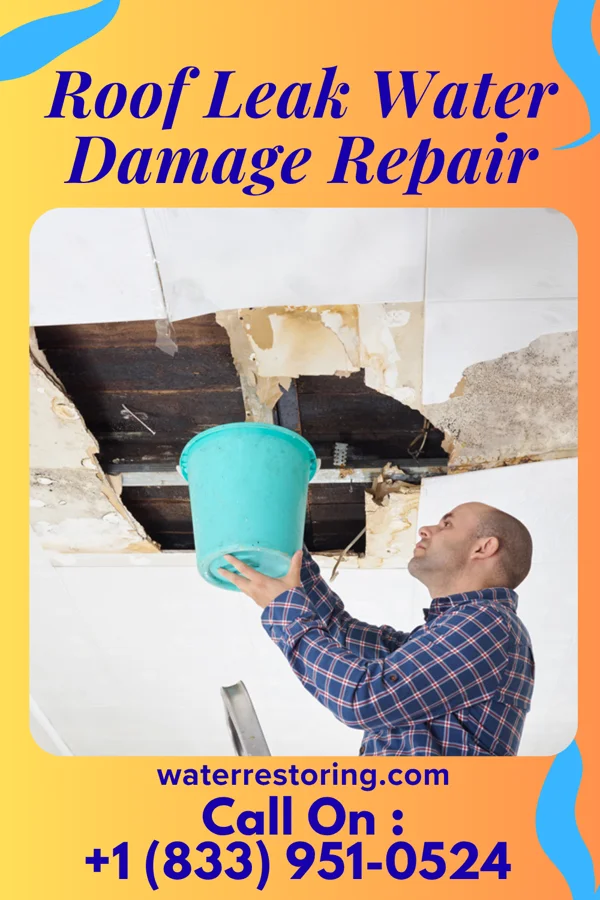 Roof Leak Water Damage Repair in Boulder, UT